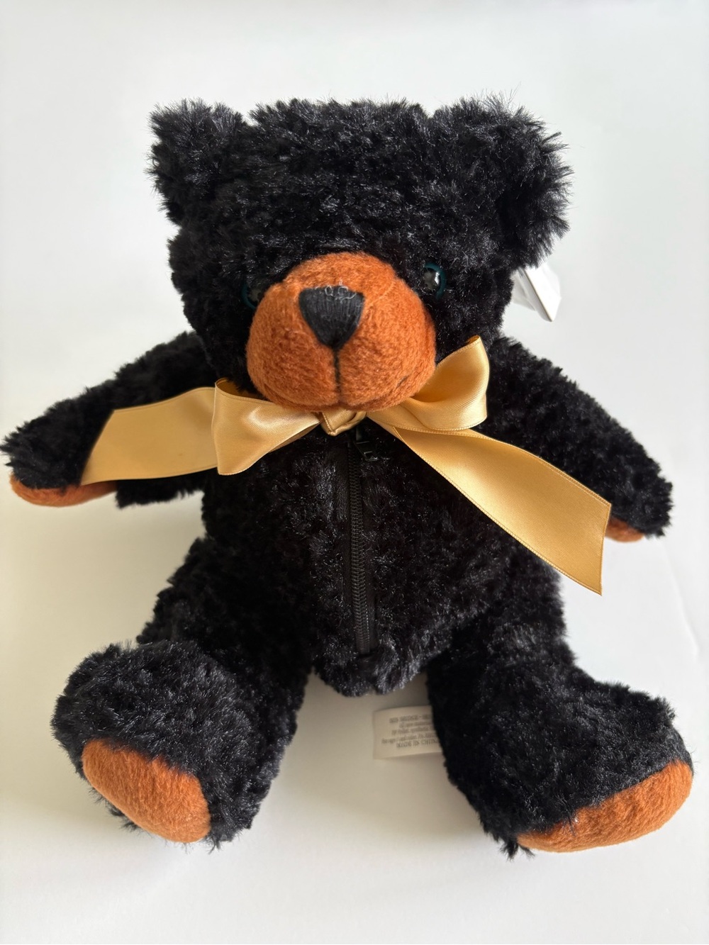 Ben Bridge XXI 2007 Benny Bear NWT